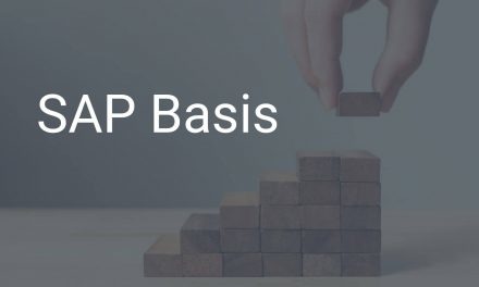 SAP Basis – das sichere Fundament des SAP-Systems
