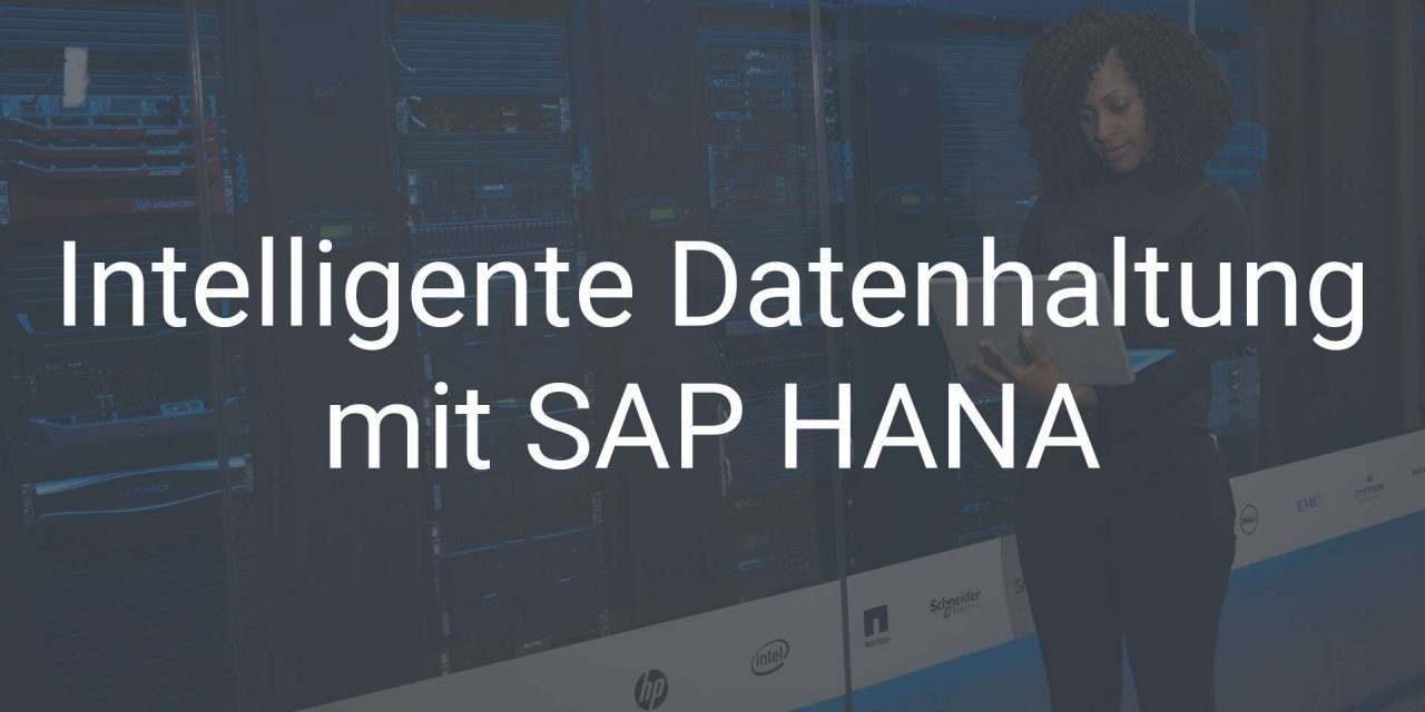 Intelligente Datenhaltung mit SAP HANA