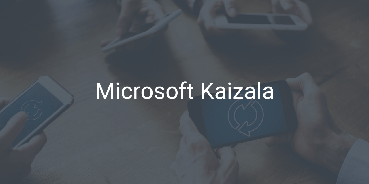 Microsoft Kaizala – Für welche Unternehmen lohnt sich der Messenger?