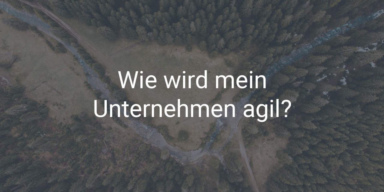 Agile Unternehmen mit SAP – die Daten sind im Fluss