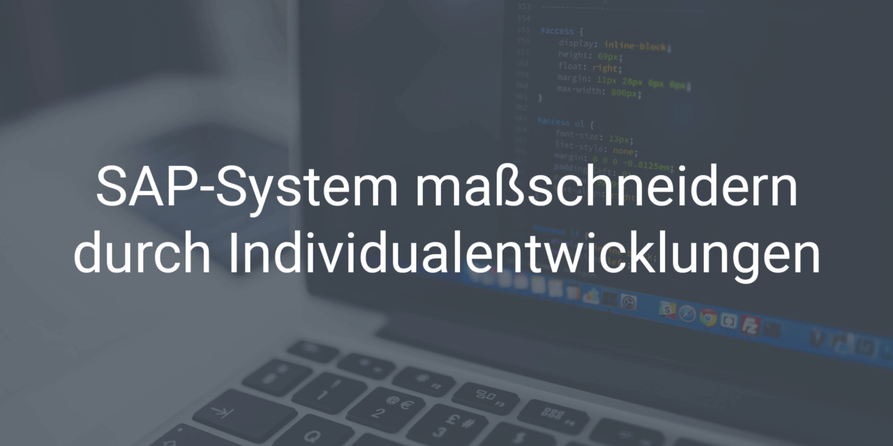 SAP-System maßschneidern durch Individualentwicklungen