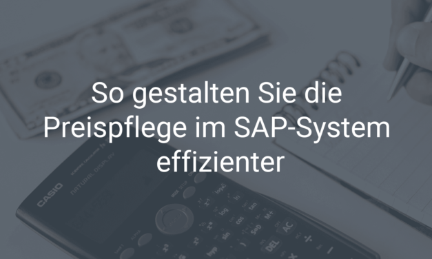 So gestalten Sie die Preispflege im SAP-System effizienter